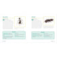 Ants for Kids: A Junior Scientist's Guide to Queens, Drones, and the Hidden World of Ants (Junior Scientists)