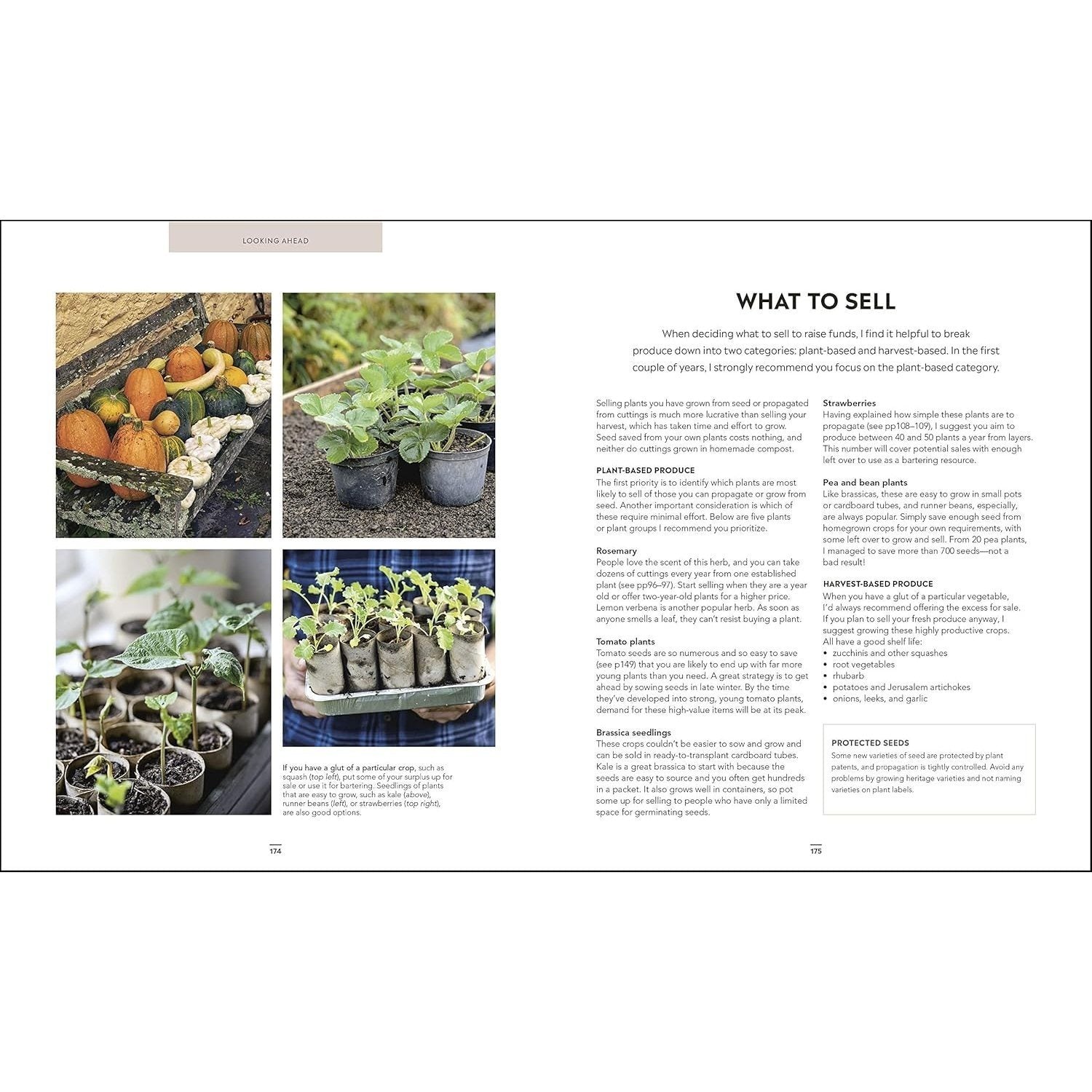 Grow Food for Free: The Sustainable, Zero-Cost, Low-Effort Way to a Bountiful Harvest (Spiral Bound)