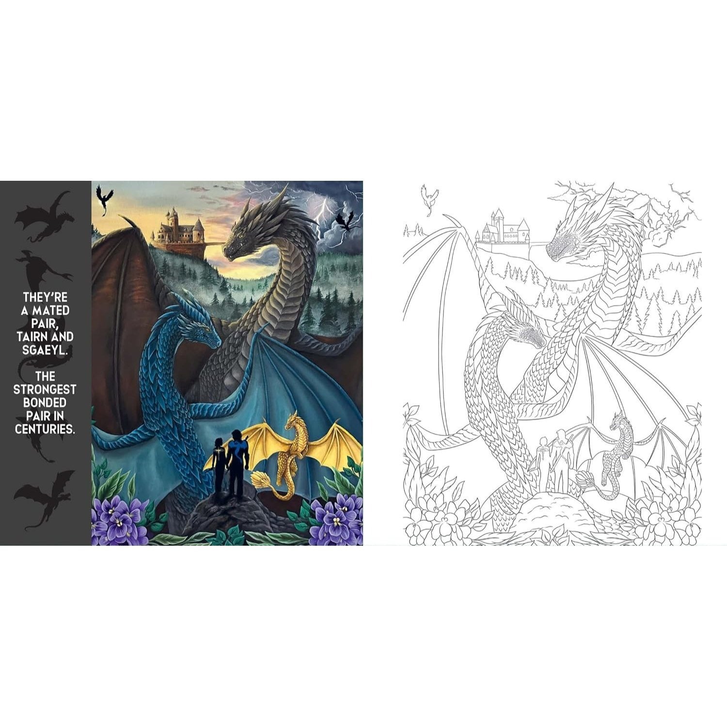 Fourth Wing: The Official Coloring Book