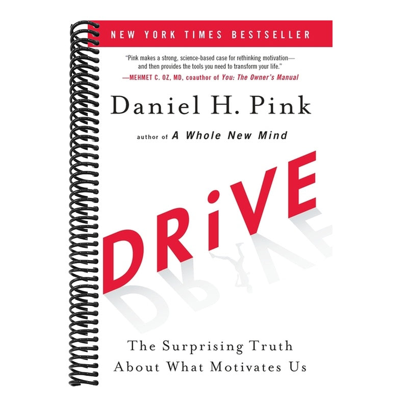 Drive: The Surprising Truth about What Motivates Us
