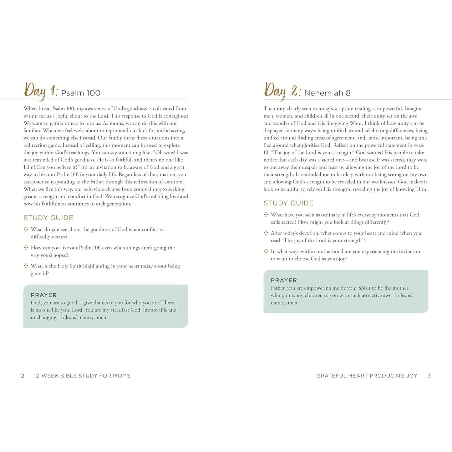 12-Week Bible Study for Moms: Readings & Reflections to Draw Strength from & Connect with God