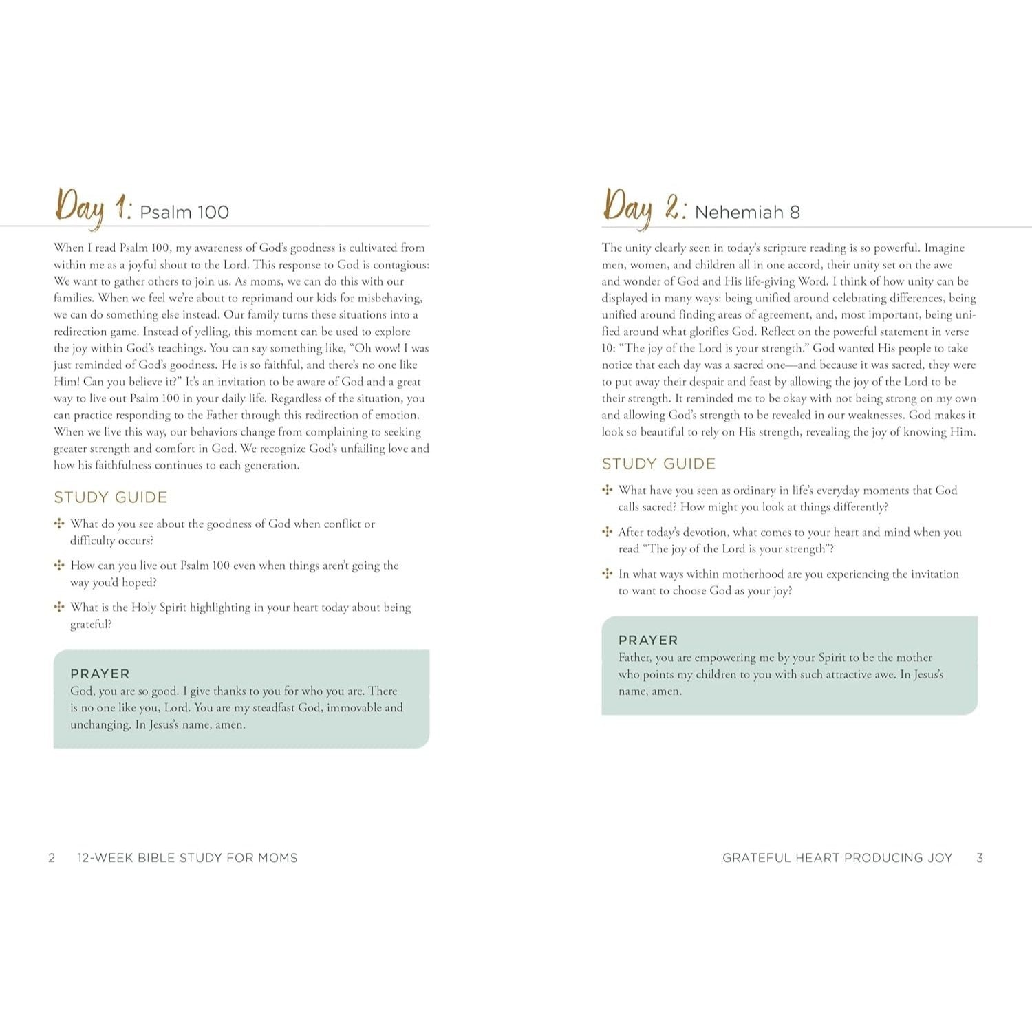 12-Week Bible Study for Moms: Readings & Reflections to Draw Strength from & Connect with God