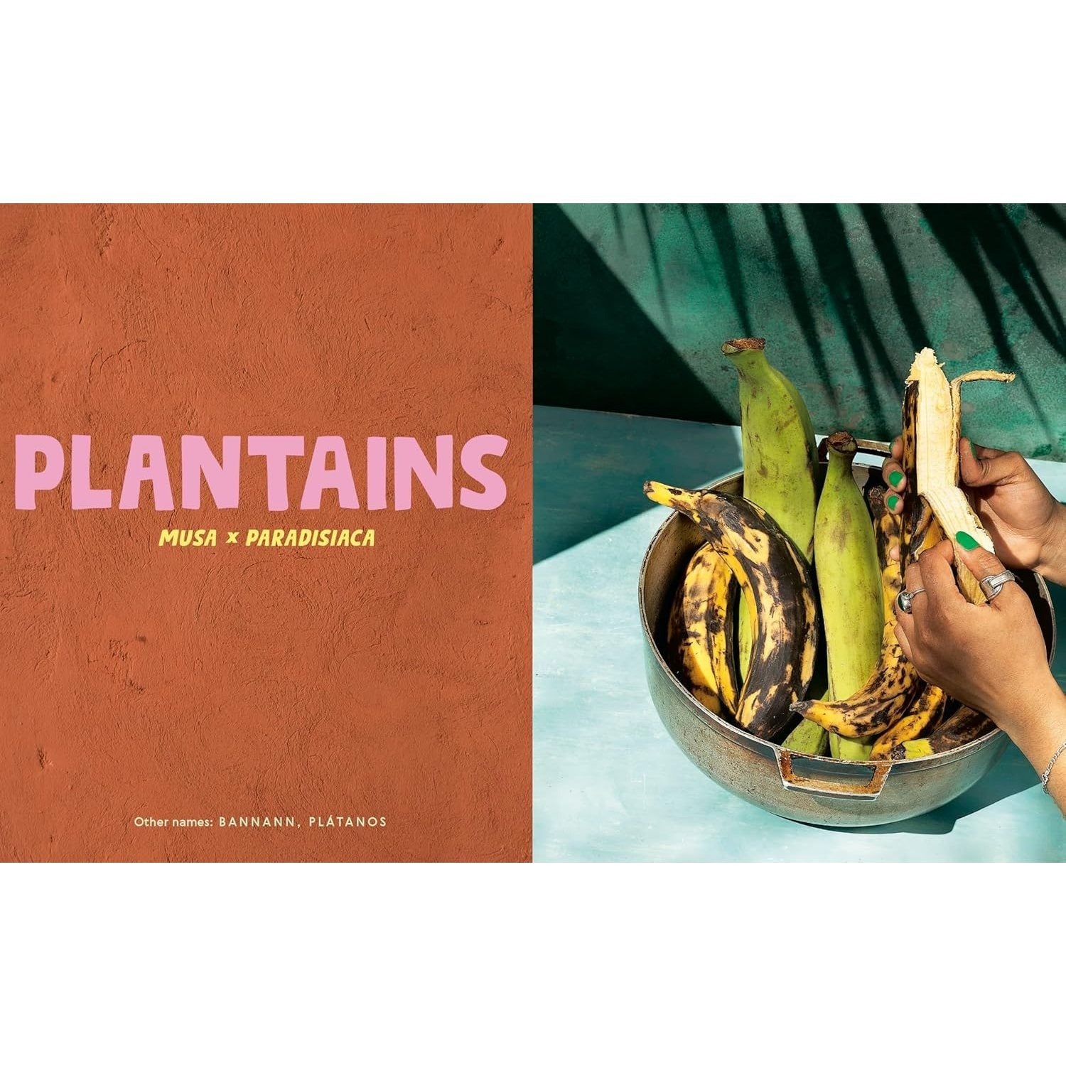 Belly Full: Exploring Caribbean Cuisine Through 11 Fundamental Ingredients and Over 100 Recipes [A Cookbook] (Spiral Bound)