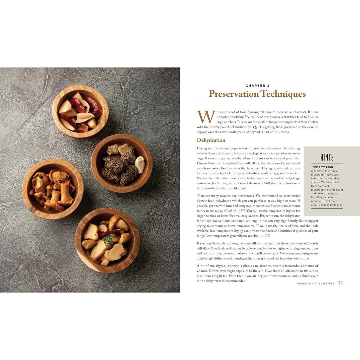 Wild Mushrooms: A Cookbook and Foraging Guide