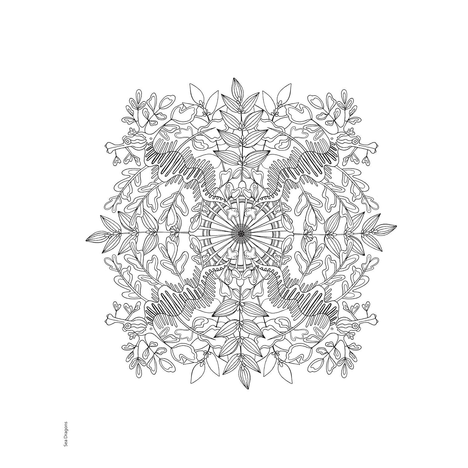 Creative Haven Stunning Sea Life Mandalas Coloring Book
