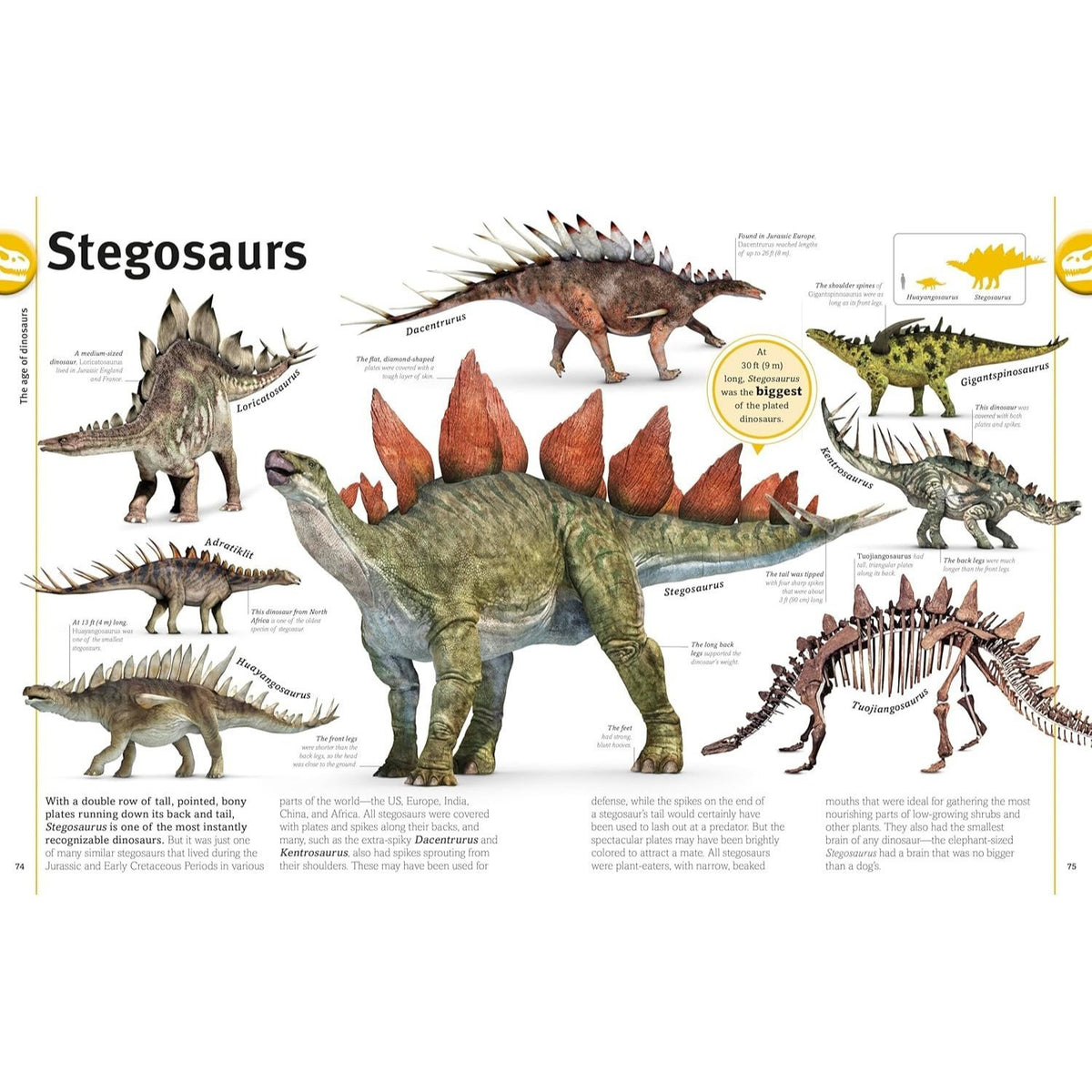 Our World in Pictures the Dinosaur Book (DK Our World in Pictures) (Spiral Bound)