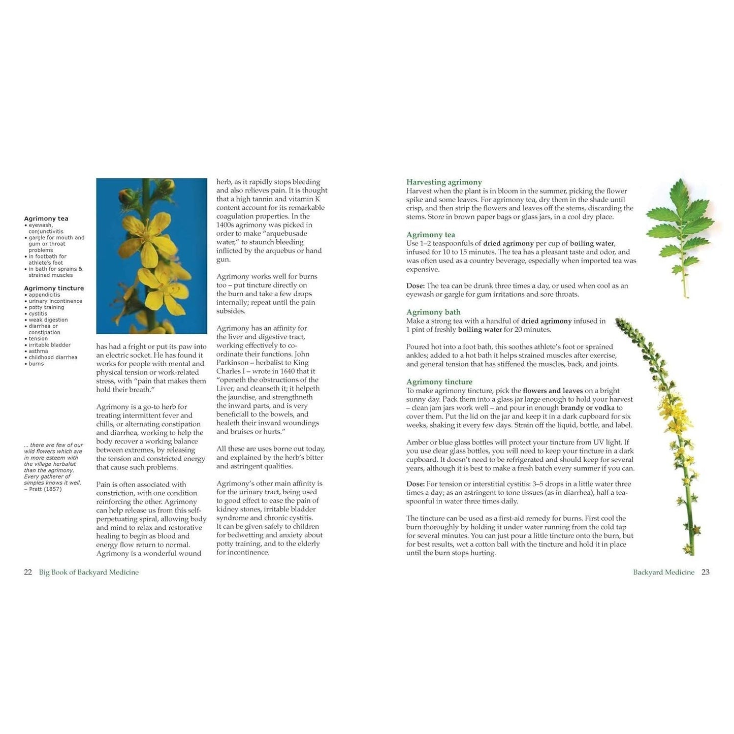 The Big Book of Backyard Medicine: The Ultimate Guide to Home-Grown Herbal Remedies (Spiral Bound)