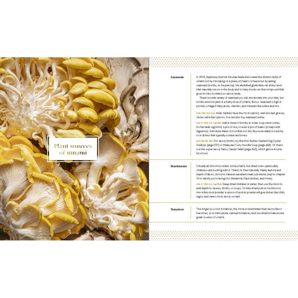 Big Vegan Flavor: Techniques and 150 Recipes to Master Vegan Cooking
