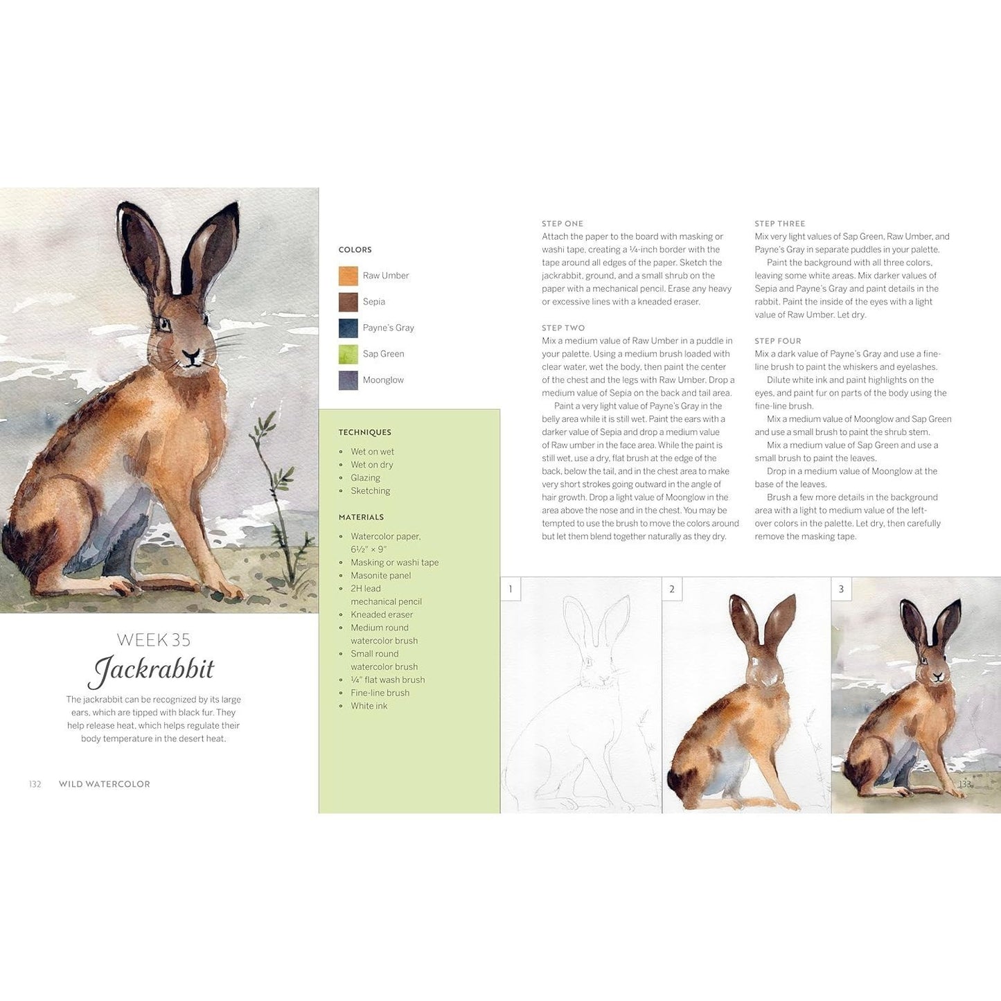 Wild Watercolor: Weekly Lessons and Techniques for Stunning Creations (Spiral Bound)