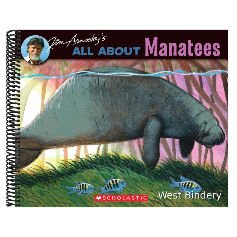 All about Manatees