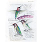 The Backyard Bird Chronicles (Spiral Bound)