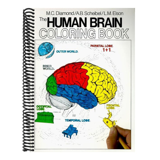 The Human Brain Coloring Book