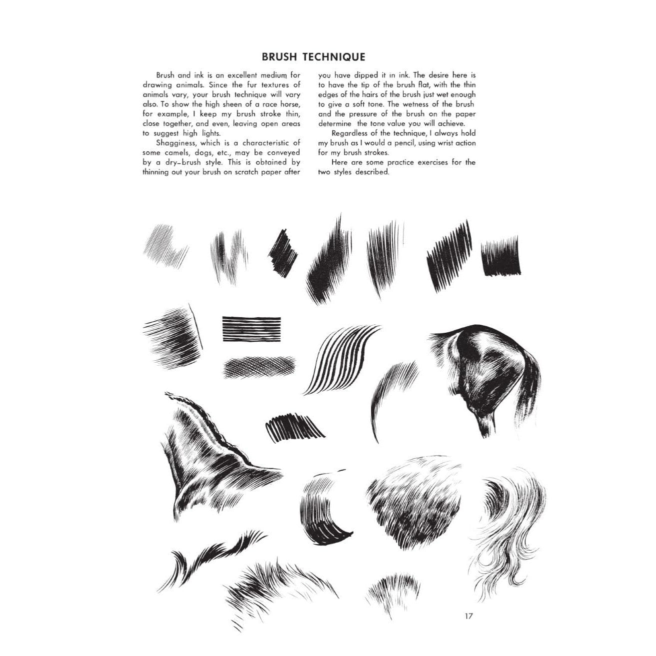 The Art of Animal Drawing: Construction, Action Analysis, Caricature (Revised)
