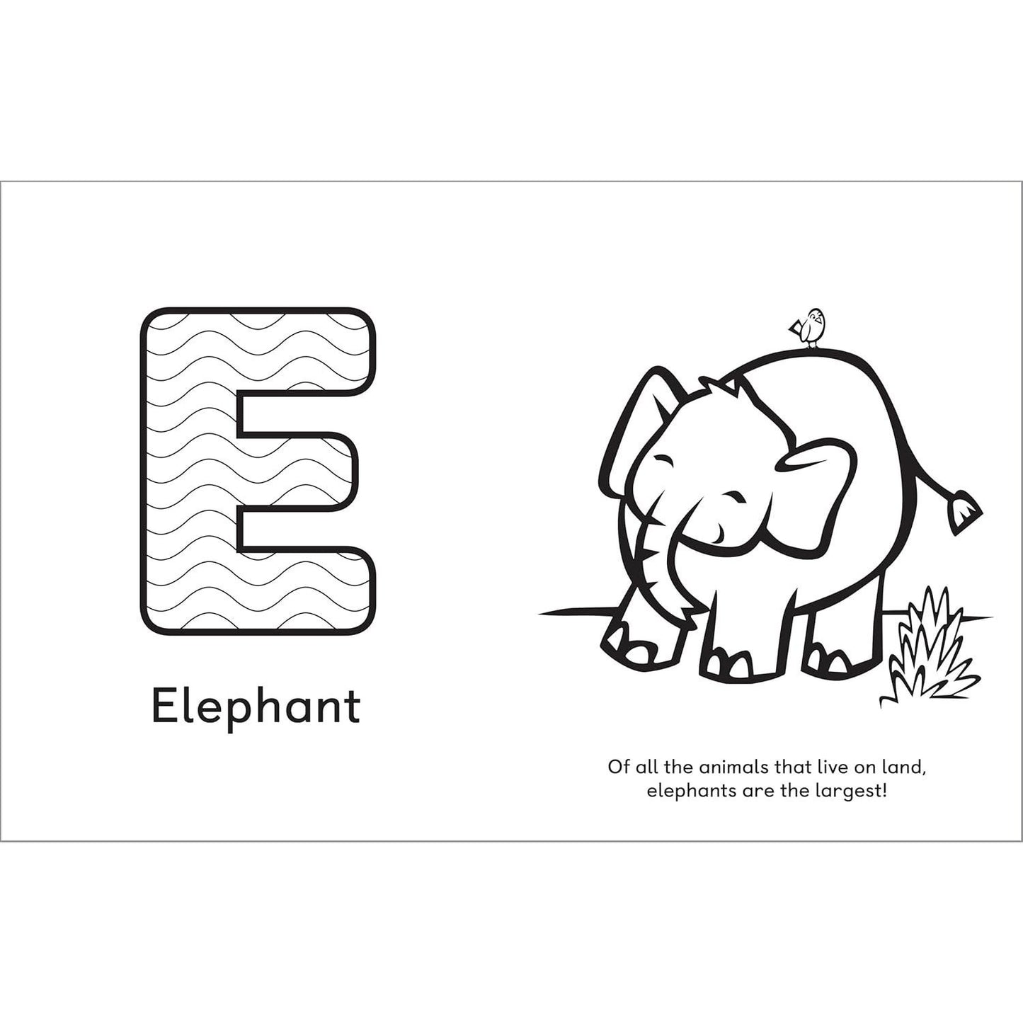 A is for Animals!: Preschool Coloring Book (Spiral Bound)