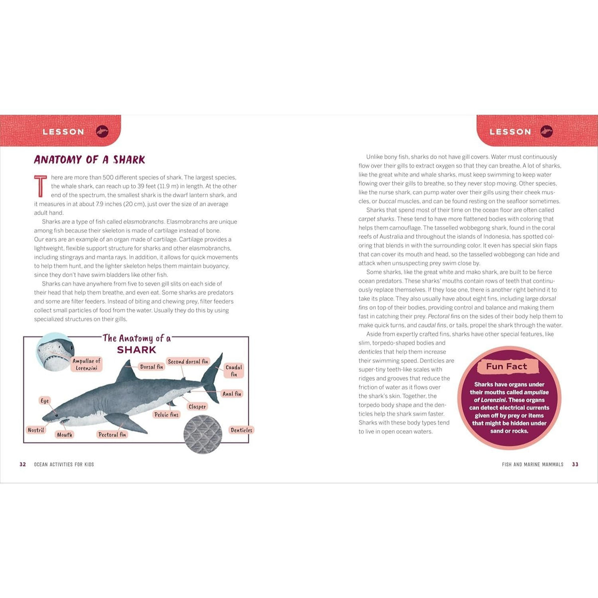 Ocean Activities for Kids: 20 Hands-On Projects to Explore the Sea
