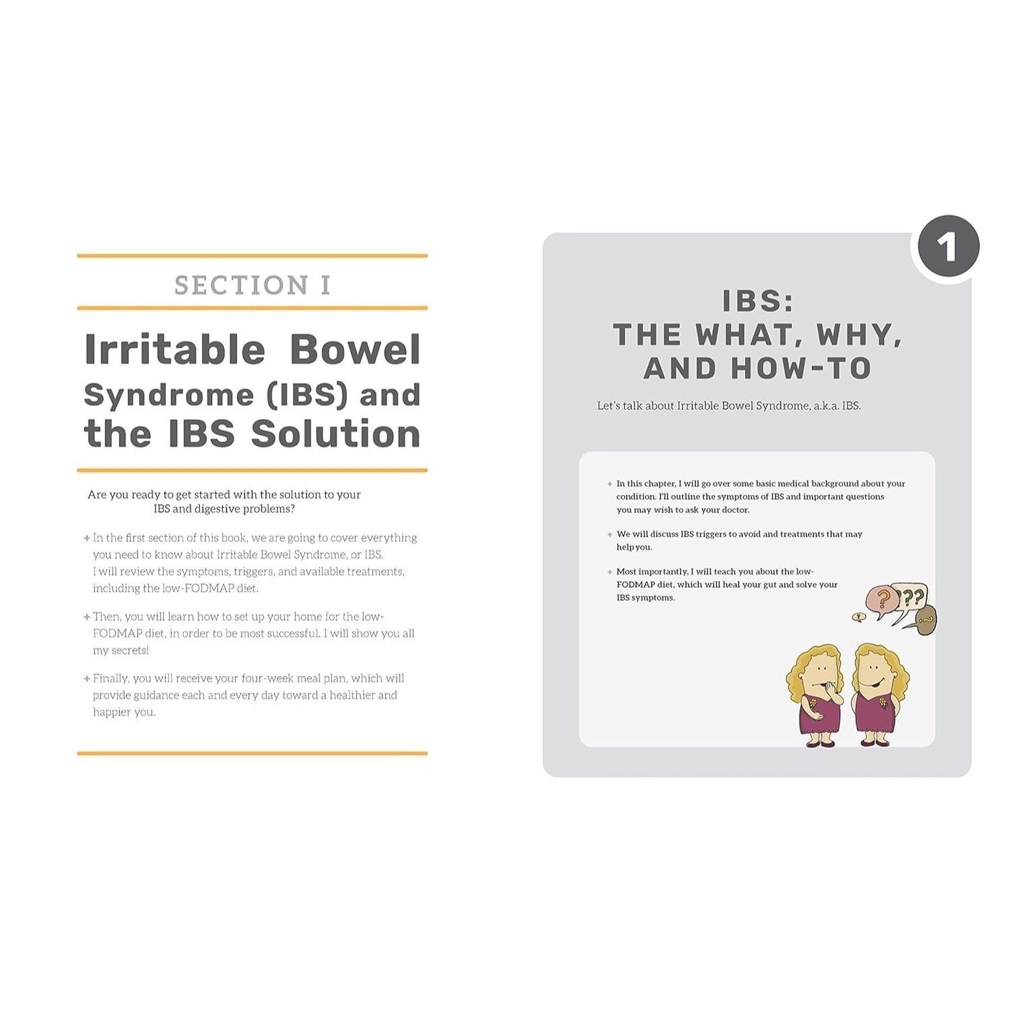 The Low-Fodmap Ibs Solution Plan and Cookbook: Heal Your Ibs with More Than 100 Low-Fodmap Recipes That Prep in 30 Minutes or Less