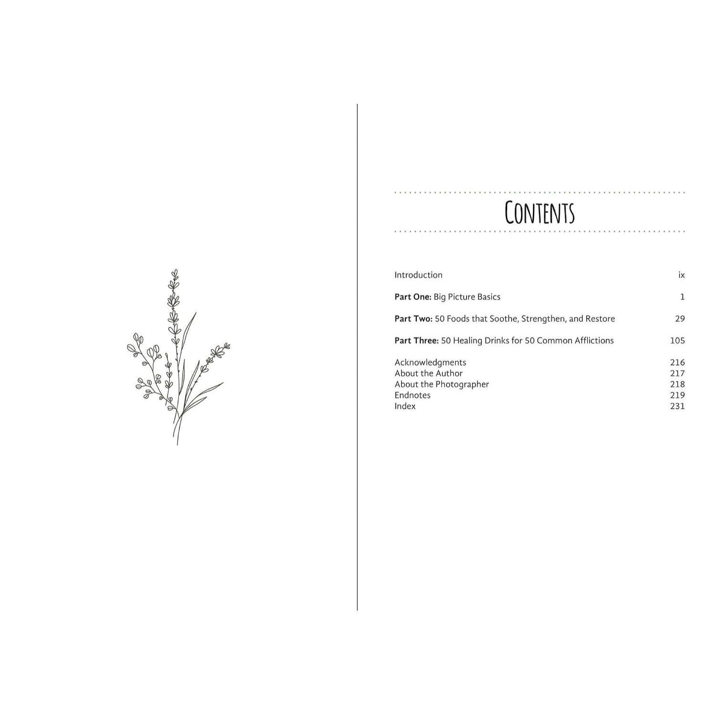 Good Living Guide to Healing Drinks: Juices, Smoothies, Broths & Herbal Teas