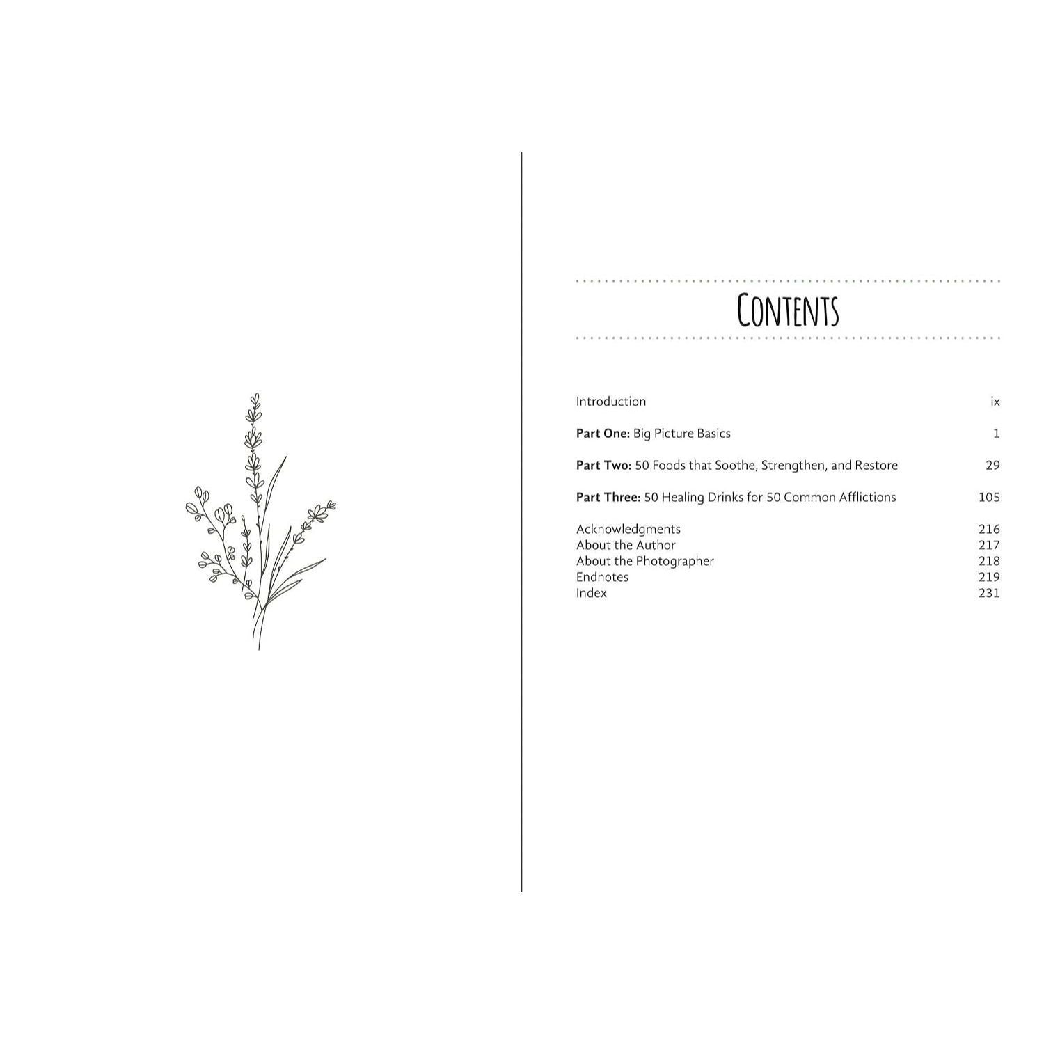 Good Living Guide to Healing Drinks: Juices, Smoothies, Broths & Herbal Teas