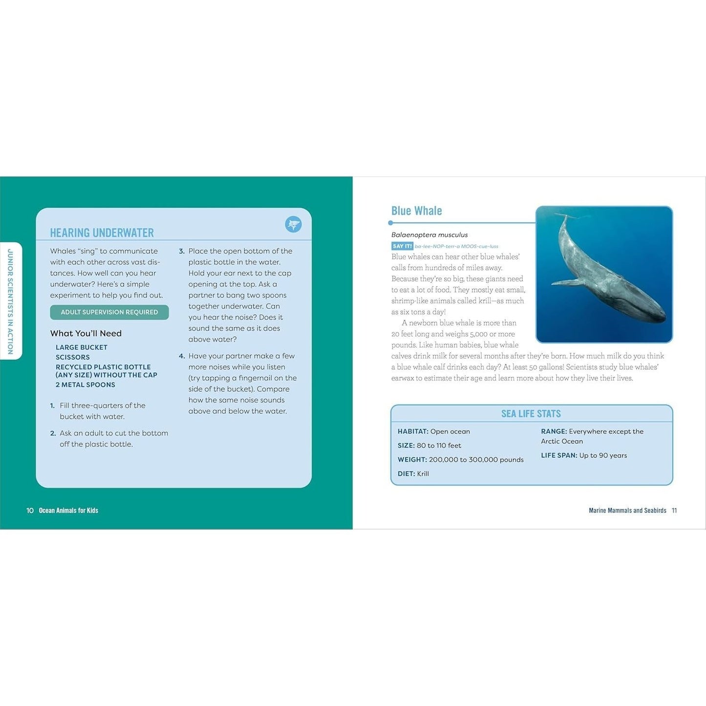 Ocean Animals for Kids: A Junior Scientist's Guide to Whales, Sharks, and Other Marine Life (Junior Scientists)