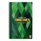 The World of Minecraft (Minecraft)