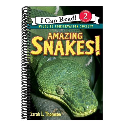Amazing Snakes!