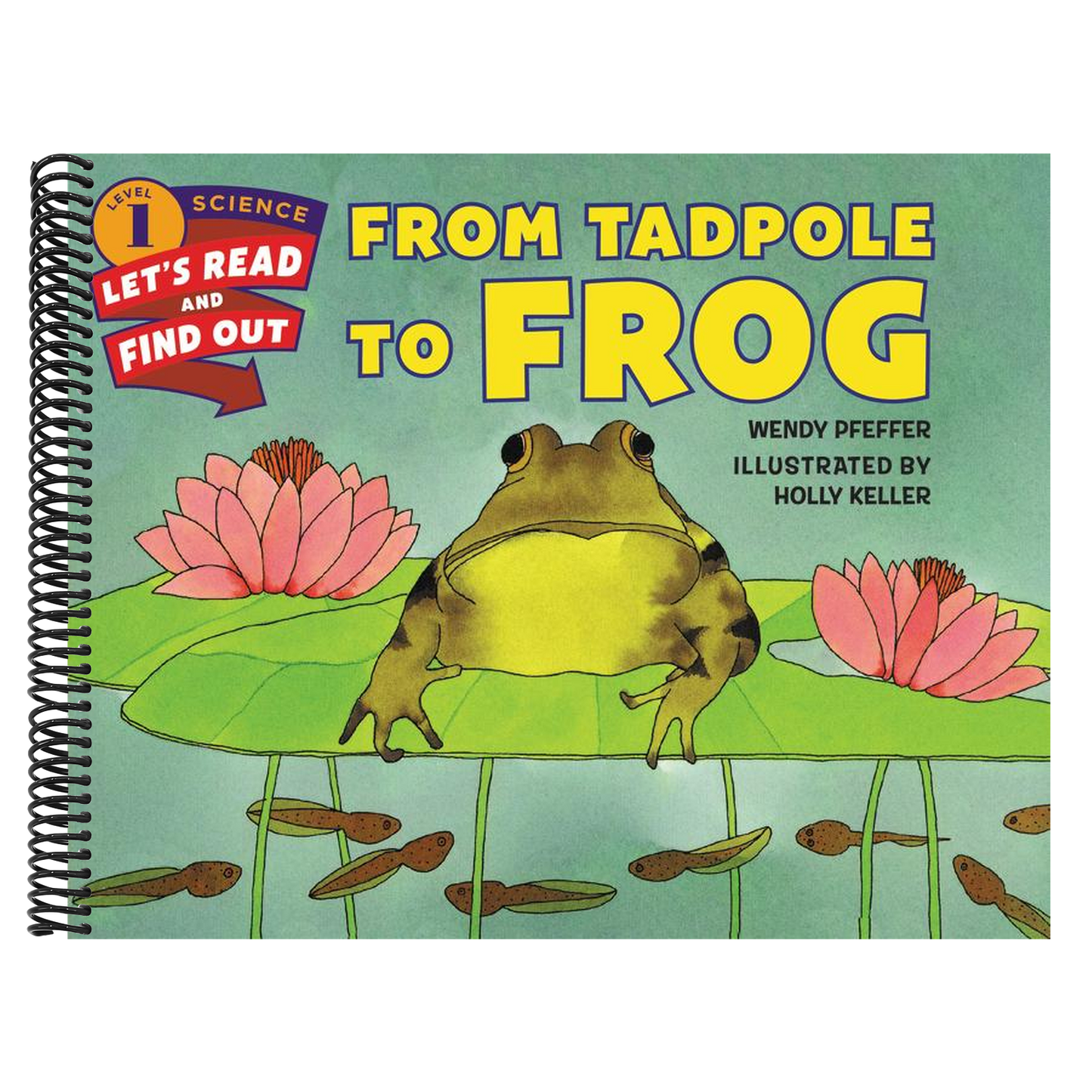 From Tadpole to Frog