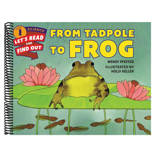 From Tadpole to Frog