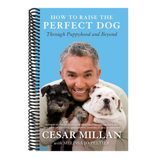 How to Raise the Perfect Dog: Through Puppyhood and Beyond (Spiral Bound)