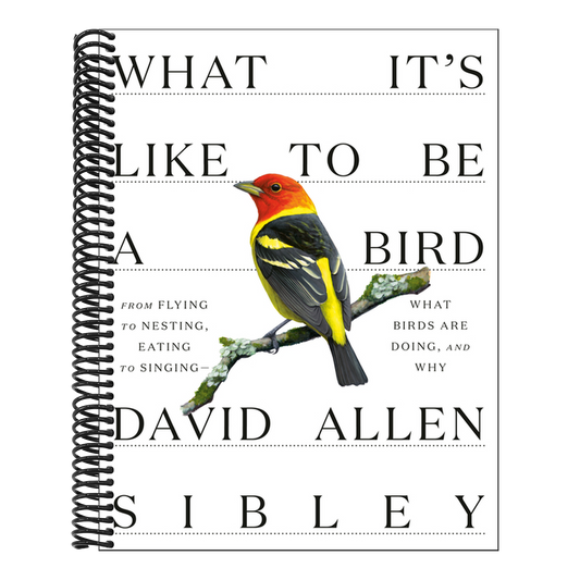 What It's Like to Be a Bird: From Flying to Nesting, Eating to Singing--What Birds Are Doing, and Why (Spiral Bound)