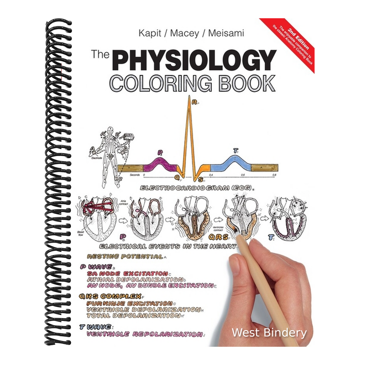 The Physiology Coloring Book