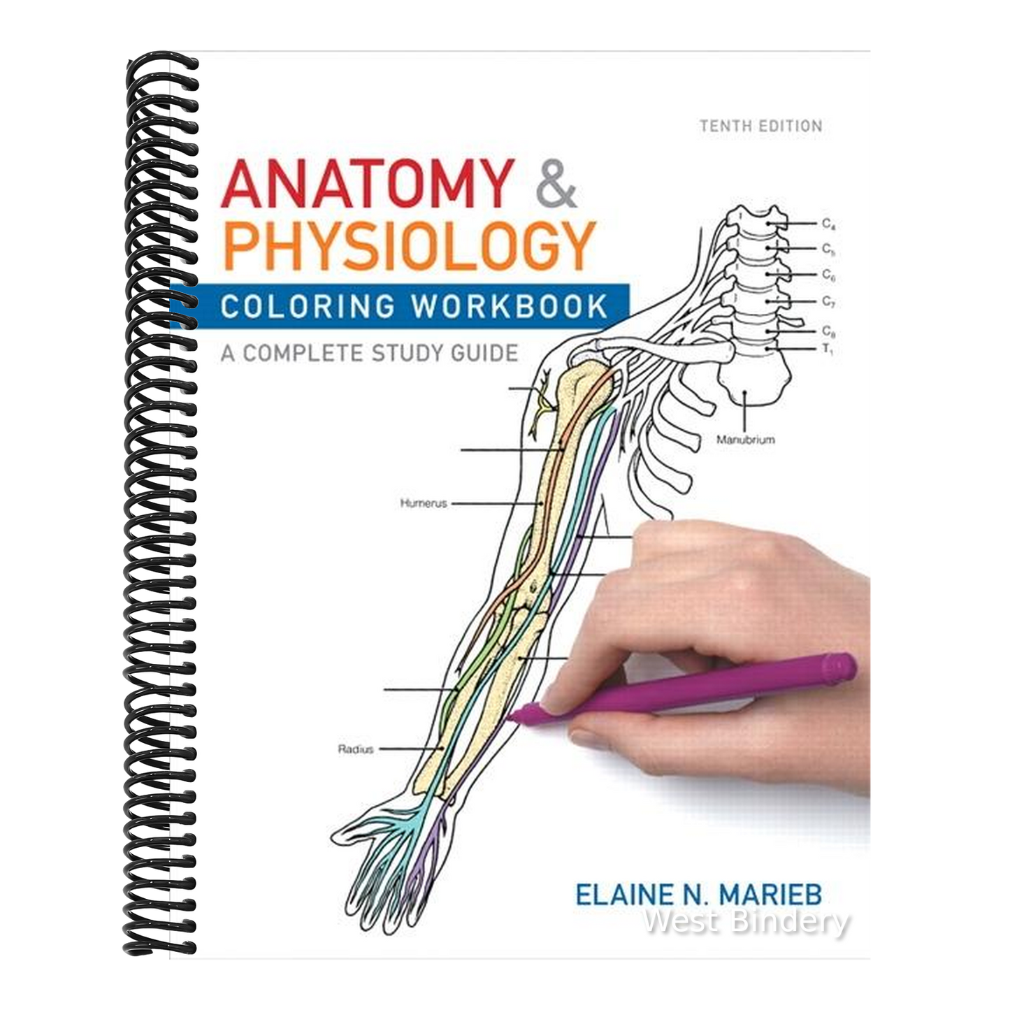 Anatomy & Physiology Coloring Workbook: A Complete Study Guide