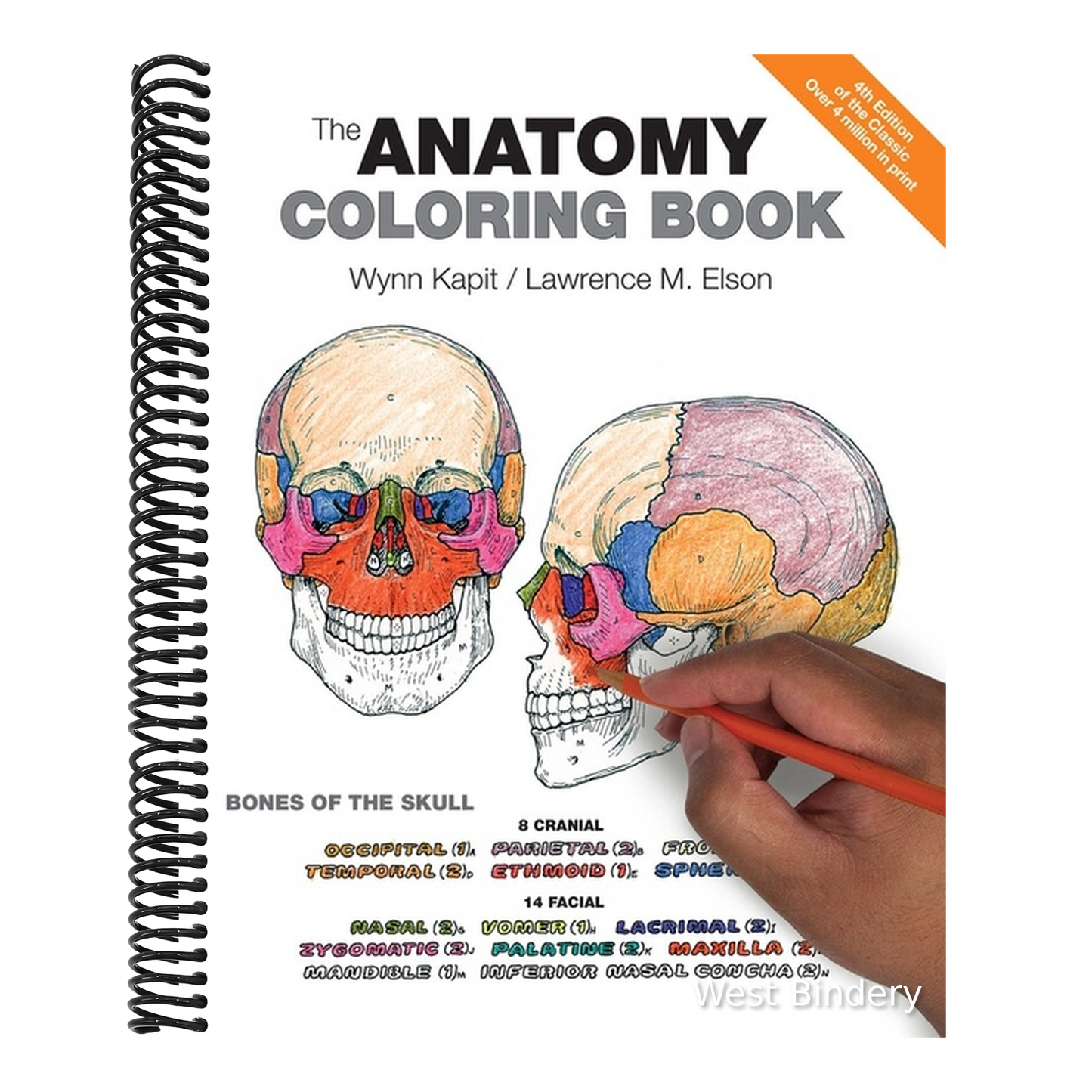 The Anatomy Coloring Book