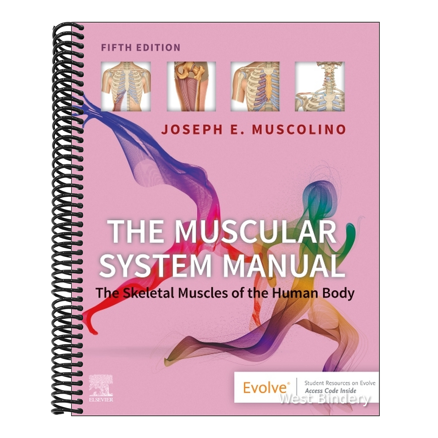 The Muscular System Manual: The Skeletal Muscles of the Human Body
