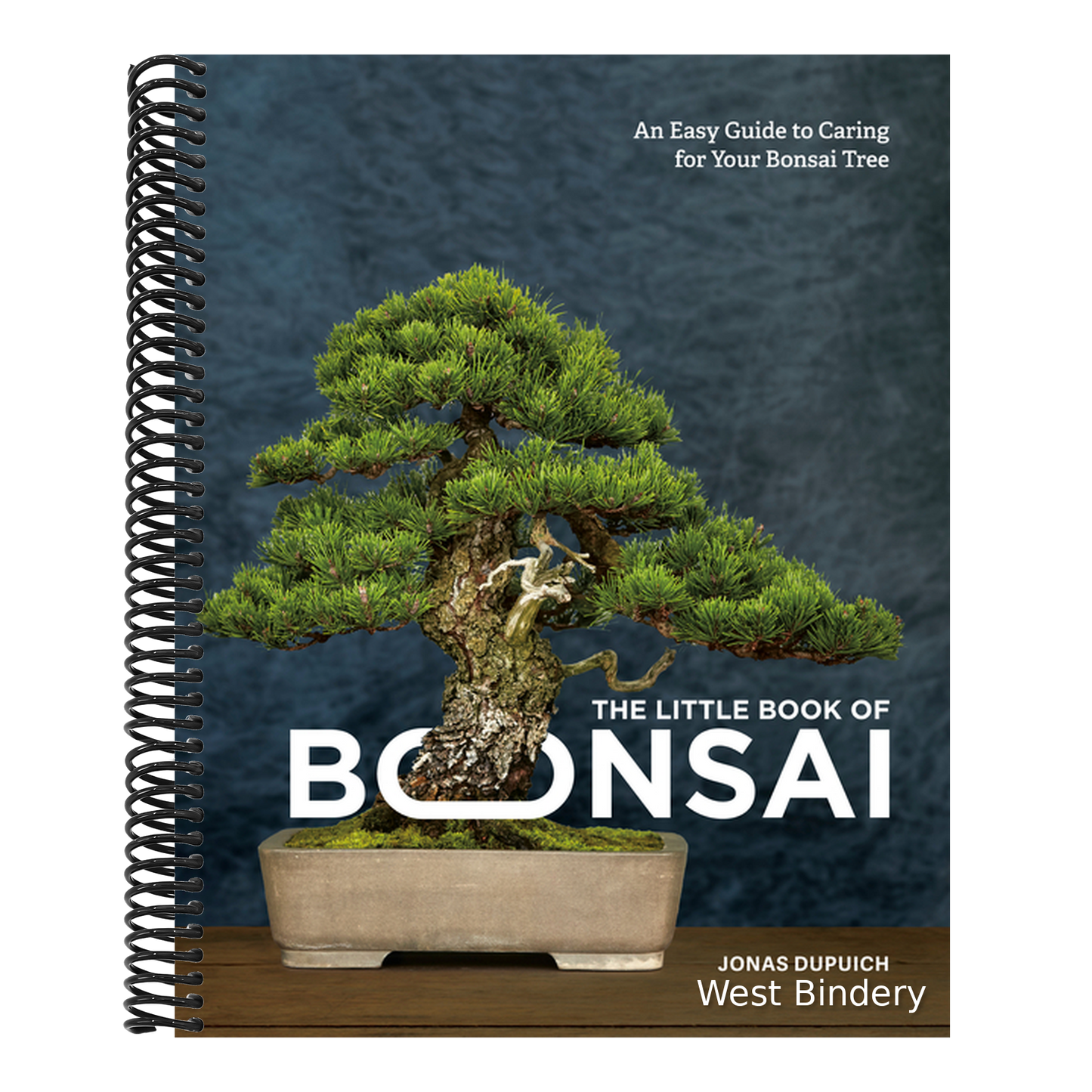 The Little Book of Bonsai: An Easy Guide to Caring for Your Bonsai Tree