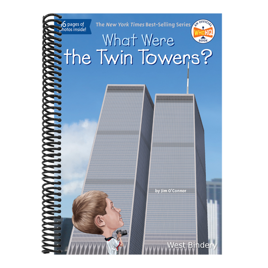 What Were the Twin Towers?