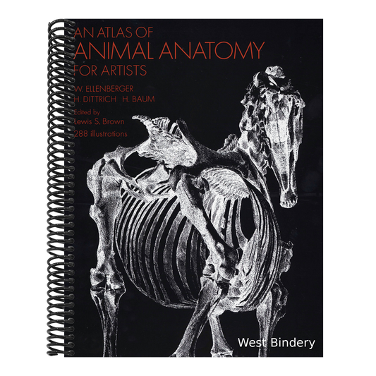 An Atlas of Animal Anatomy for Artists