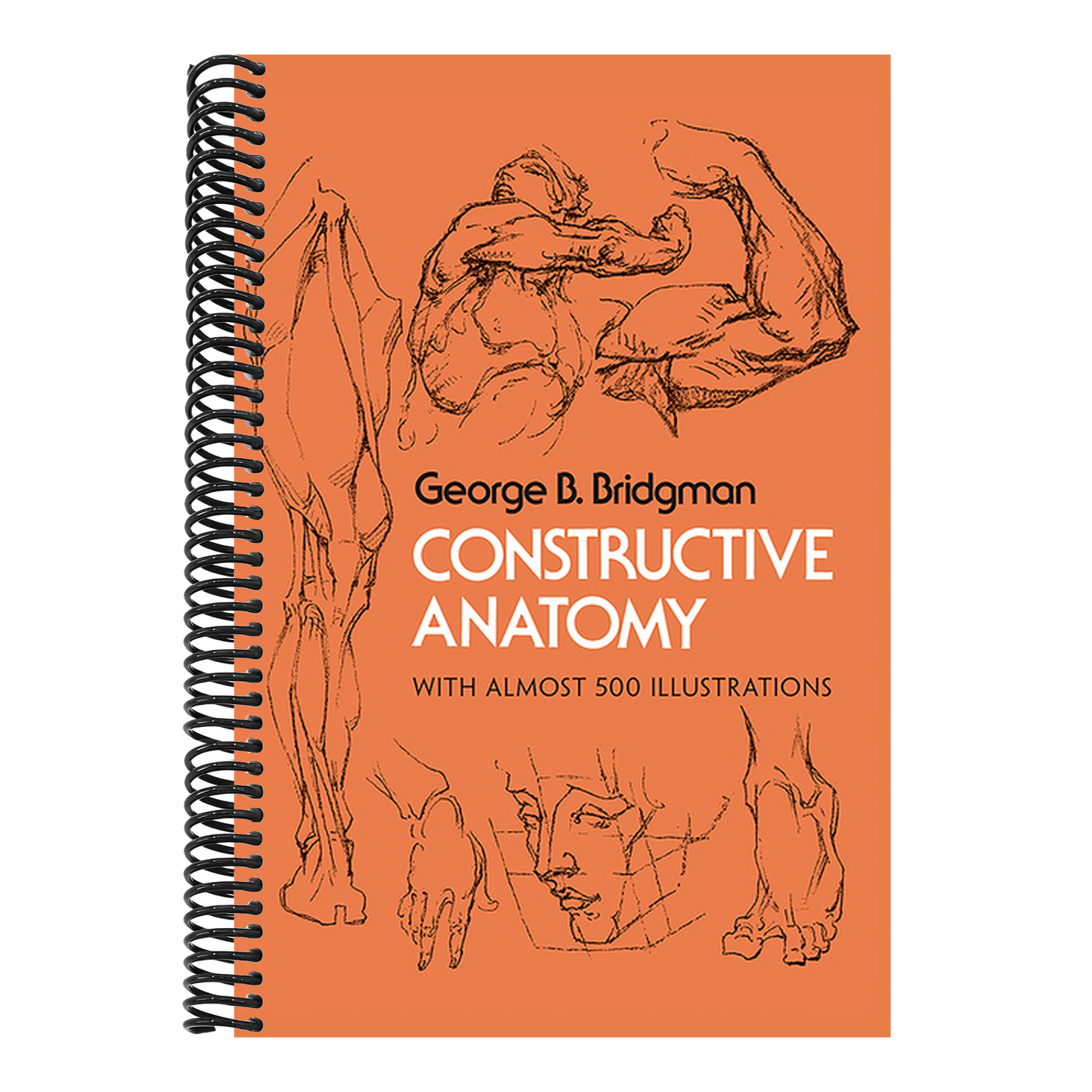 Constructive Anatomy: With Almost 500 Illustrations (Revised) (Dover Anatomy for Artists) (Spiral Bound)