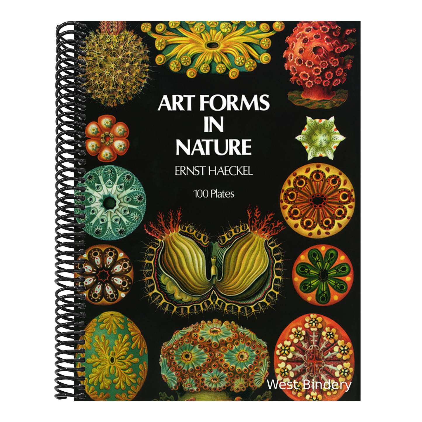 Art Forms in Nature (Revised)