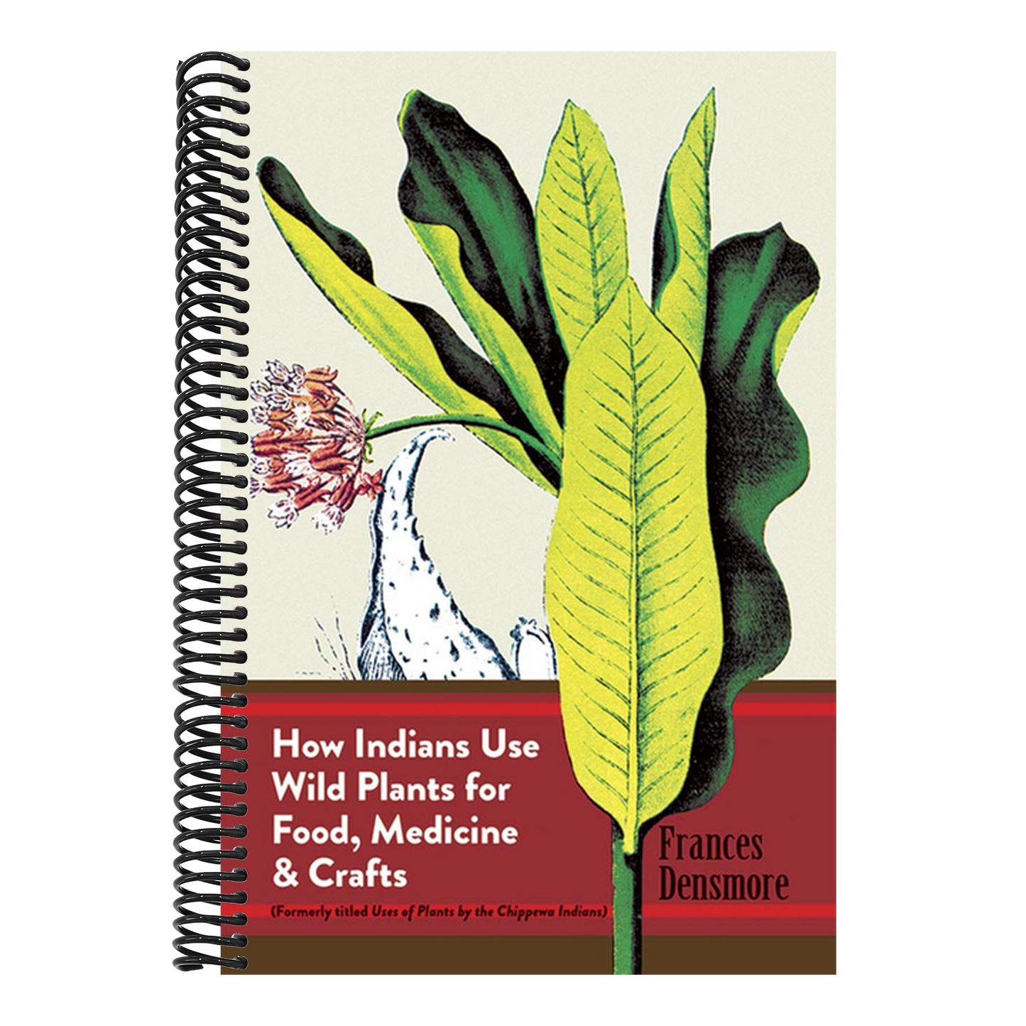 How Indians Use Wild Plants for Food, Medicine & Crafts (Revised)