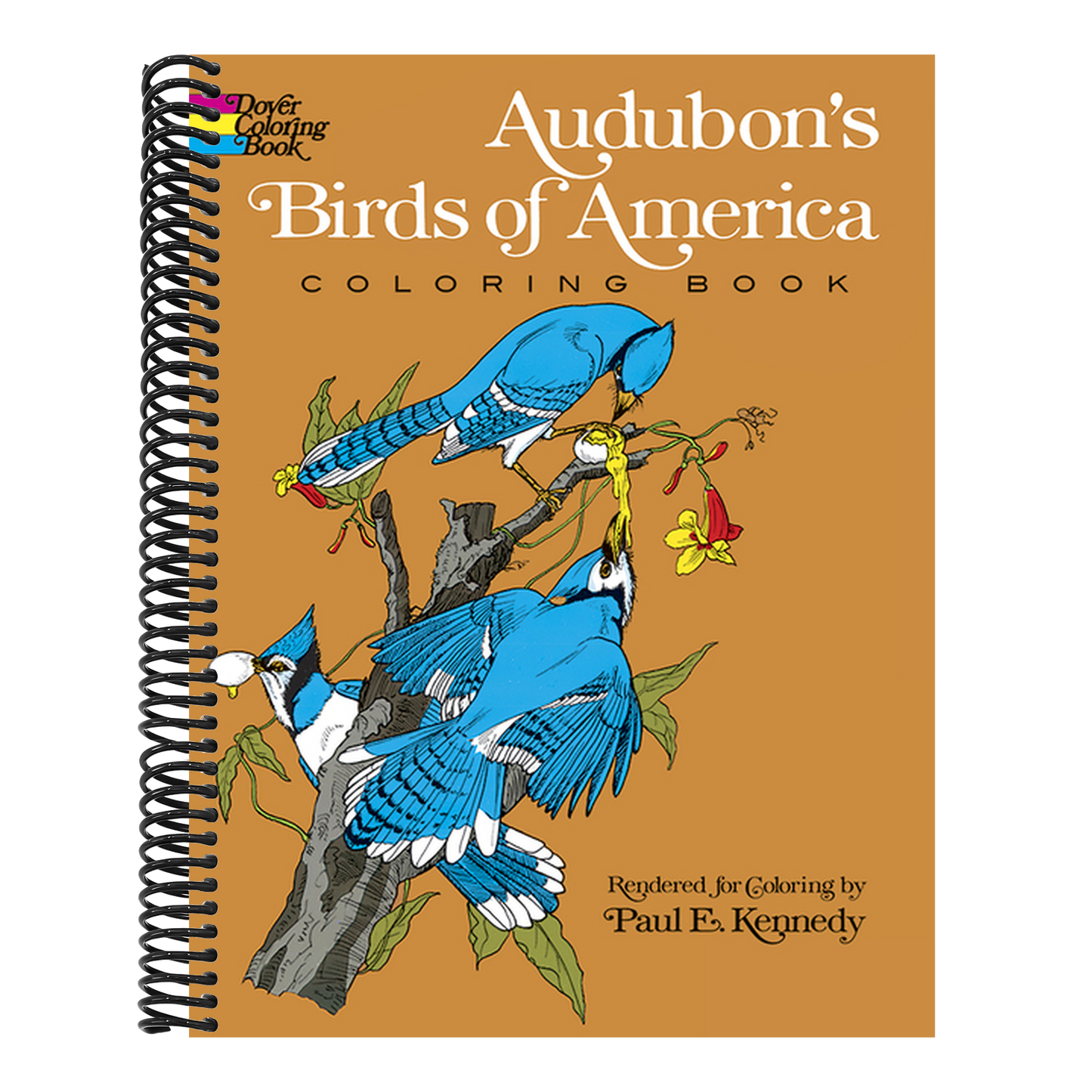 Audubon's Birds of America Coloring Book