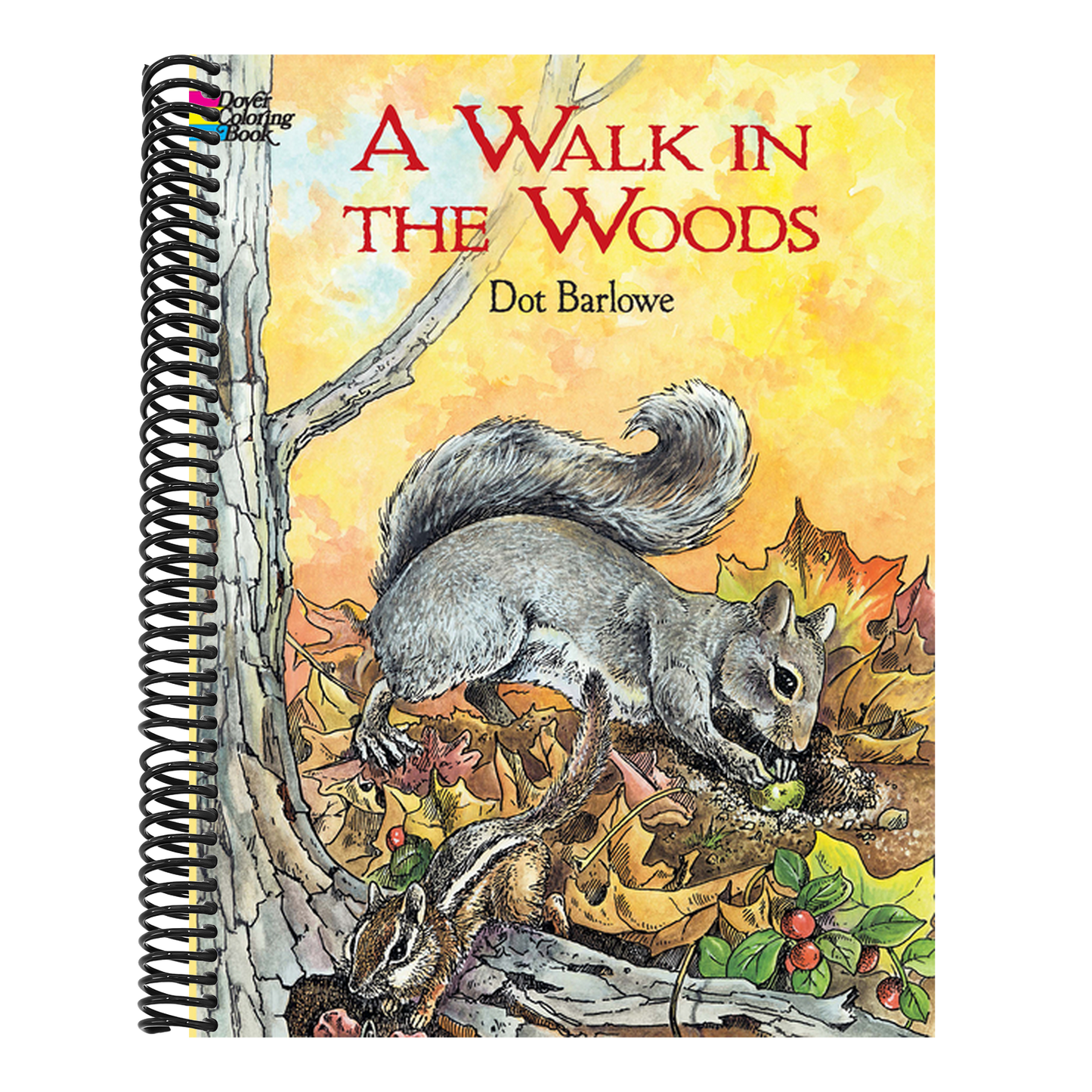 A Walk in the Woods Coloring Book