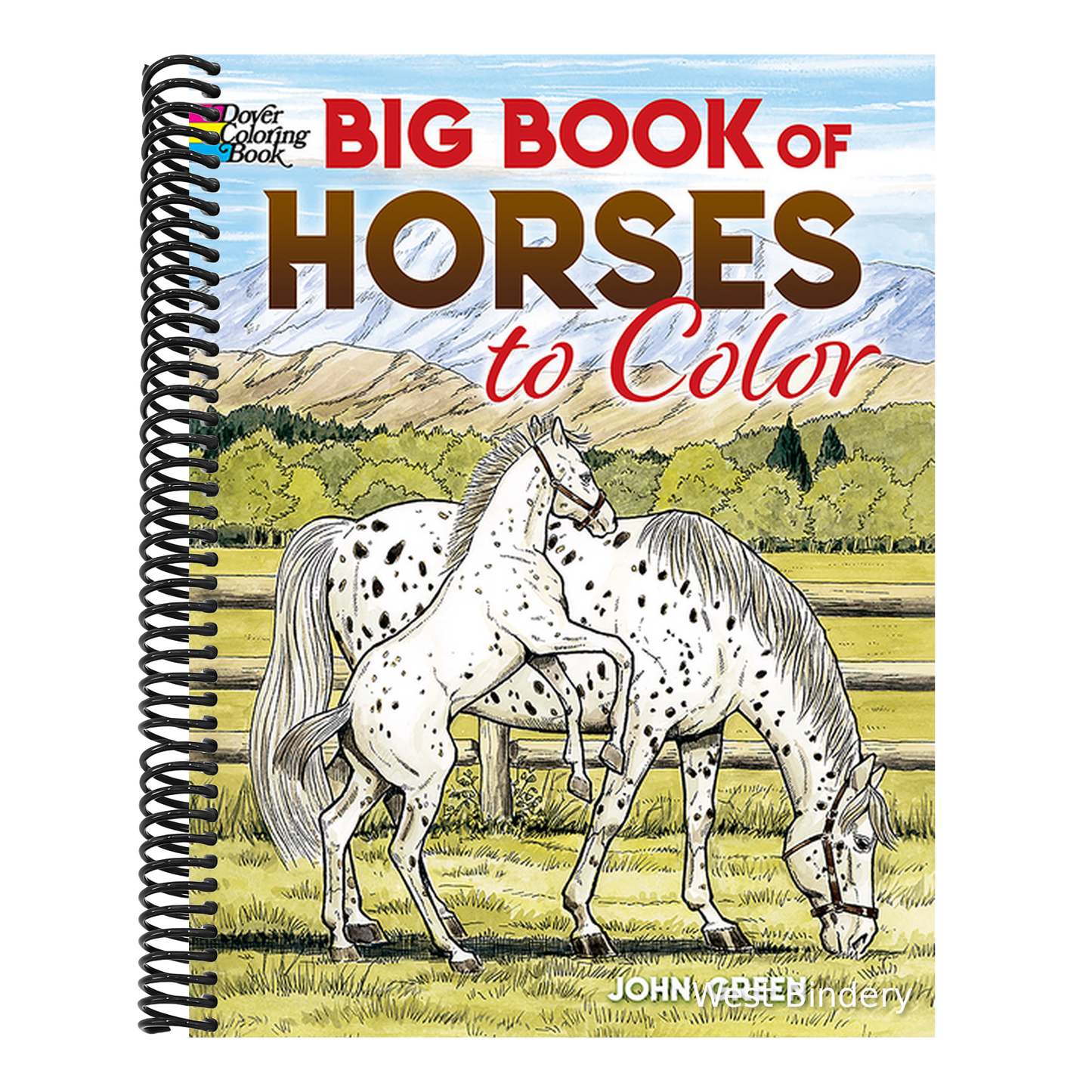 Big Book of Horses to Color