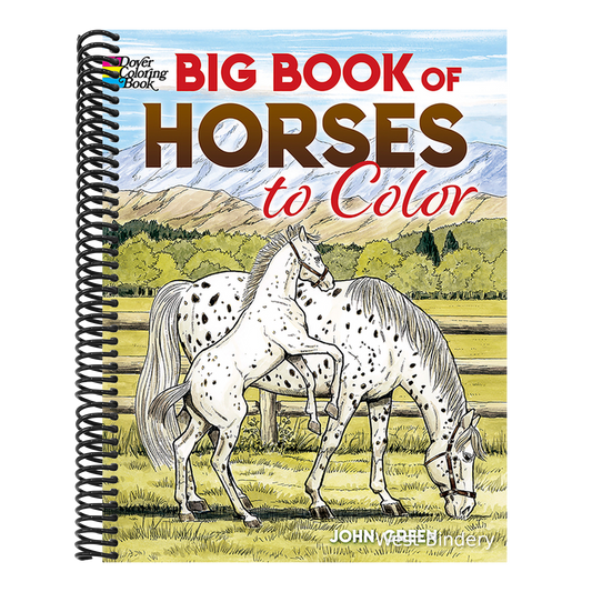 Big Book of Horses to Color