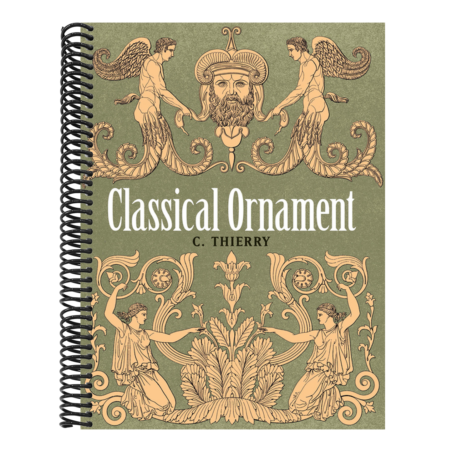 Classical Ornament (First Edition, First) (Dover Pictorial Archive) (1ST ed.) (Spiral Bound)