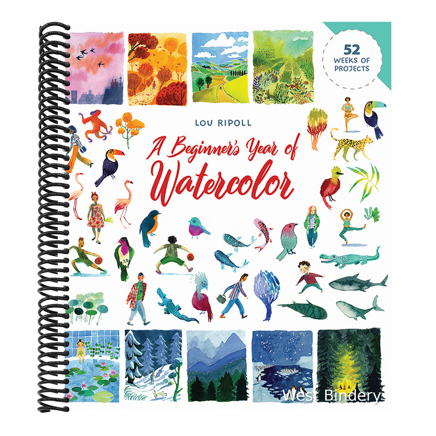 A Beginner's Year of Watercolor