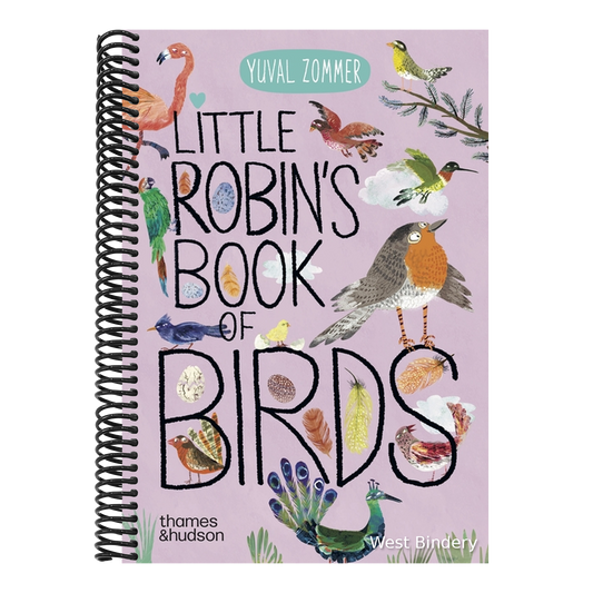 Little Robin's Book of Birds