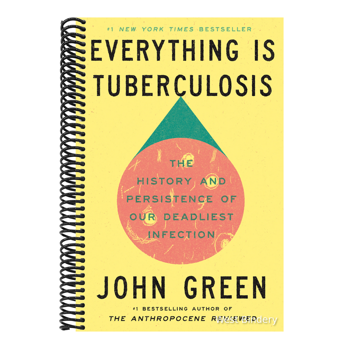 Everything Is Tuberculosis: The History and Persistence of Our Deadliest Infection