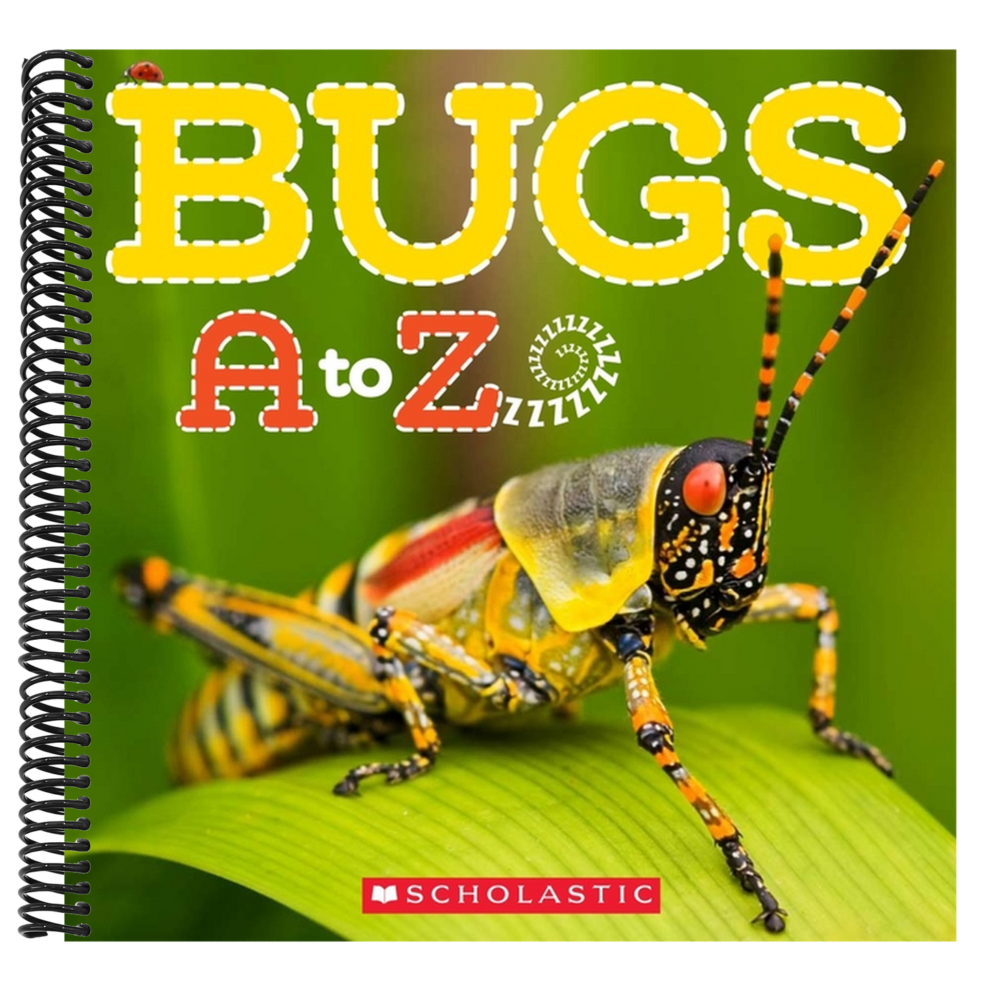 Bugs A to Z (Spiral Bound)
