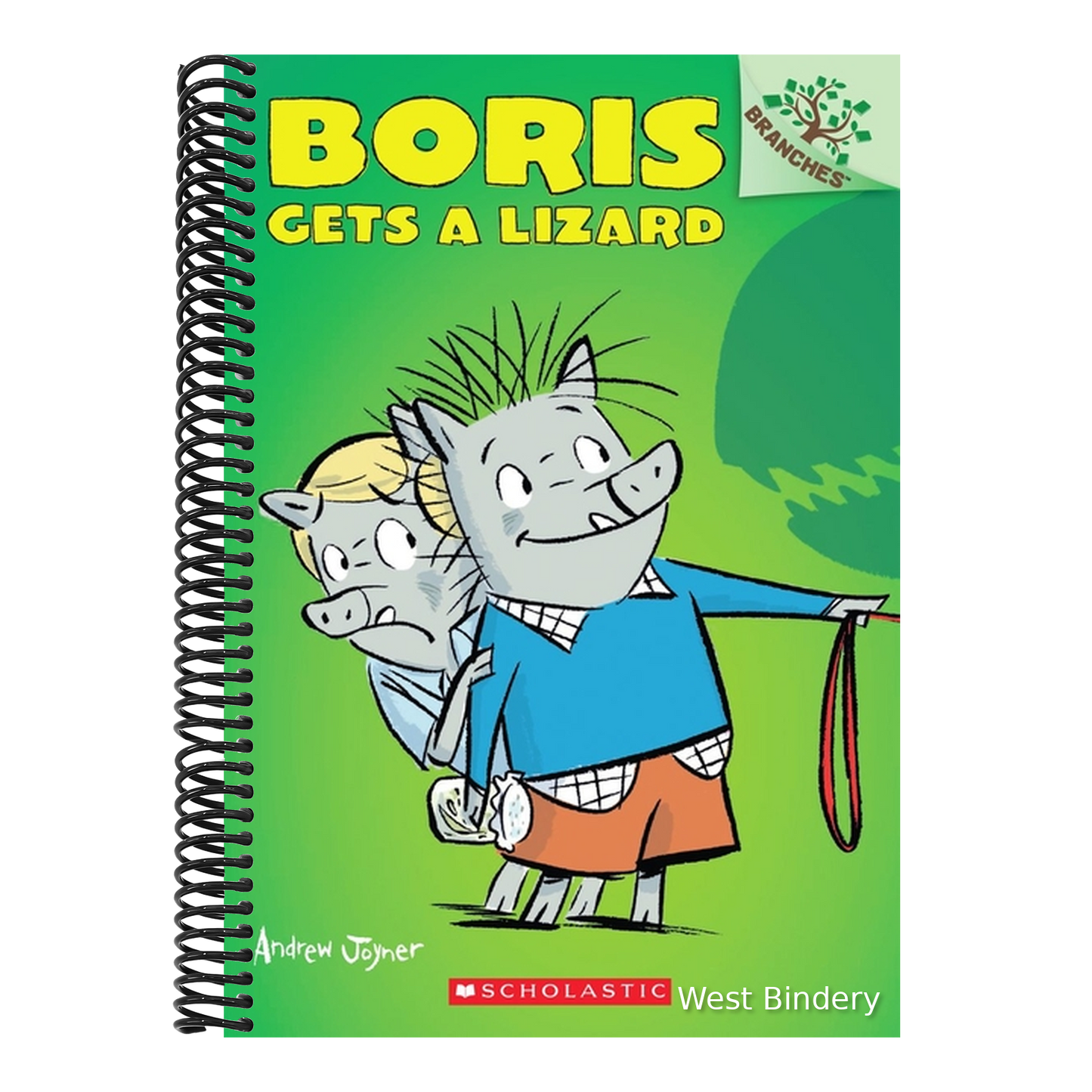 Boris Gets a Lizard: A Branches Book (Boris #2): Volume 2