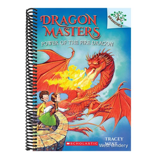 Power of the Fire Dragon: A Branches Book (Dragon Masters #4): Volume 4
